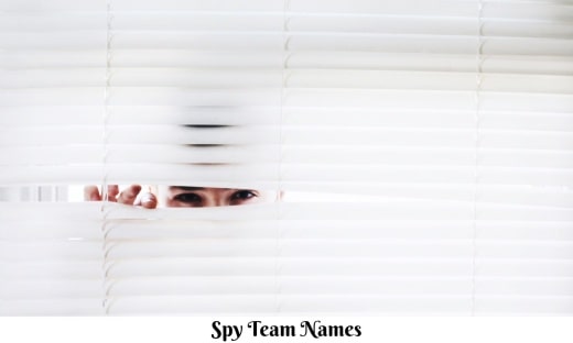 Spy Team Names