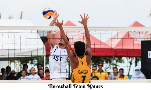 Throwball Team Names