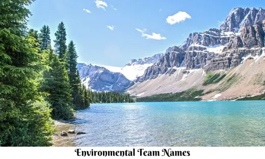 Environmental Team Names