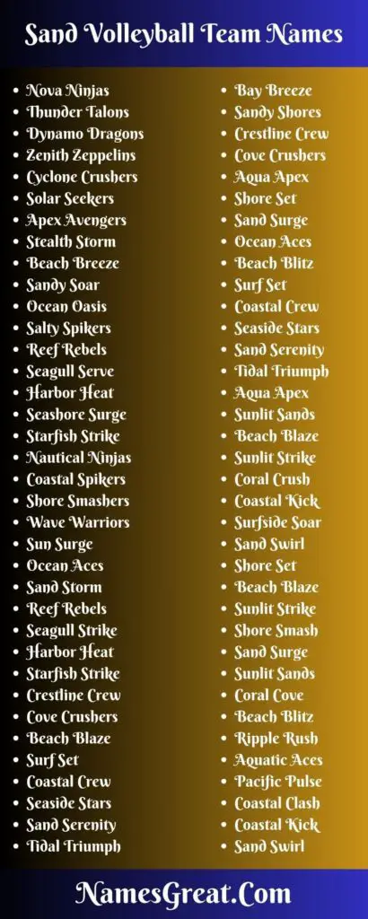 219 Sand Volleyball Team Names To Expand More   Sand Volleyball Team Names 1 410x1024 