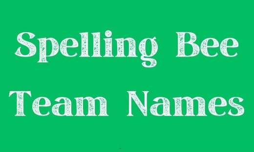 Spelling Bee Team Names